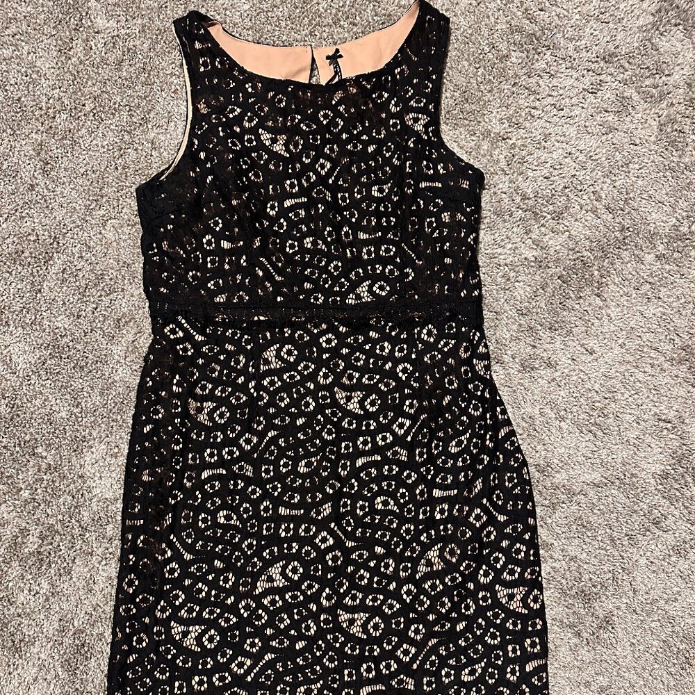 Lapis Size Large - Black Lace Overlay Nude Dress RN 99144